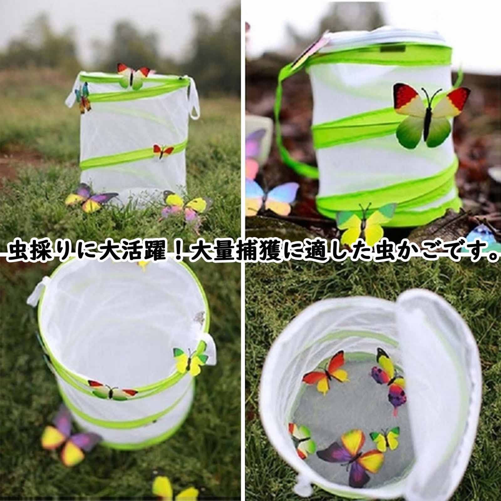 魚@スピード発送 虫かご 引き出し式飼育ケース 鈴木製作所 飼育容器 特大フラット 黒