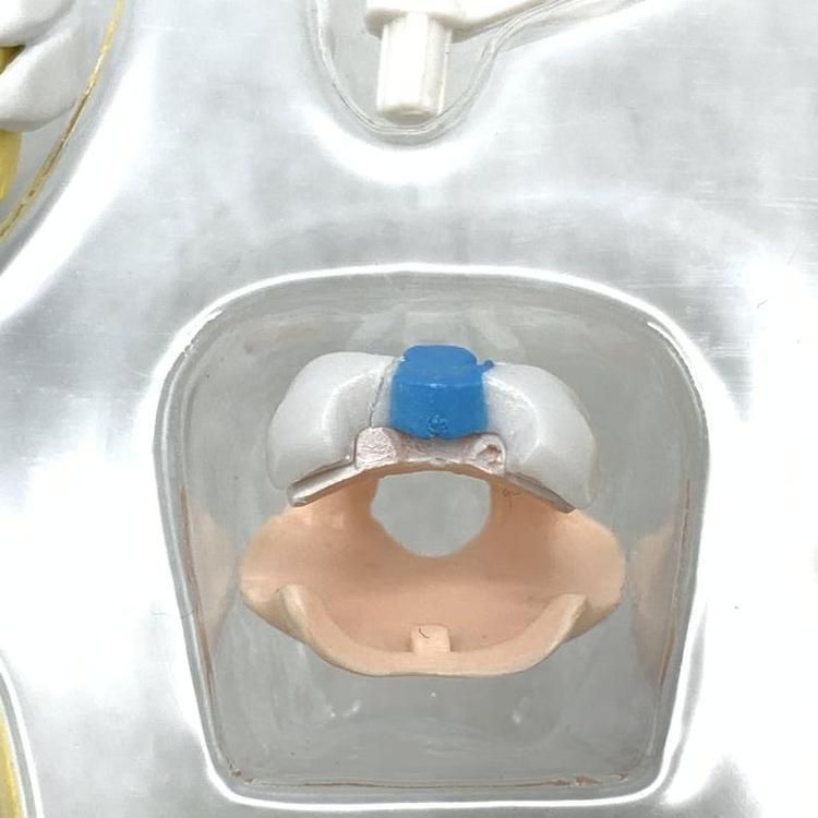 オールベルン 69