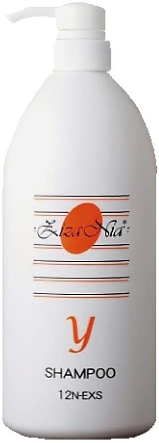 Amazonから発送 ジザニア シャンプーY 用1 000ml