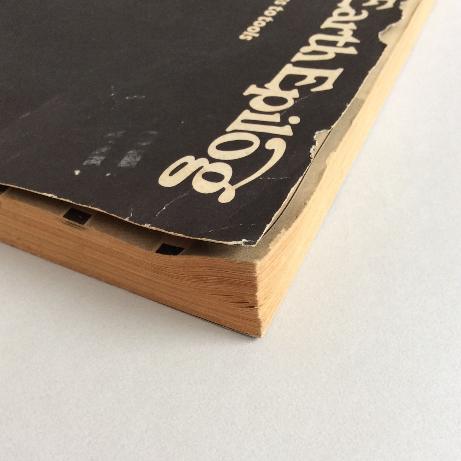 Whole Earth Epilog ホールアースエピローグ　1974年刊 917703PNqnL._AC_UF350,