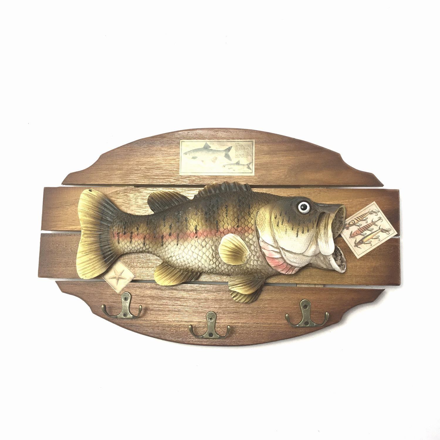 バス釣り