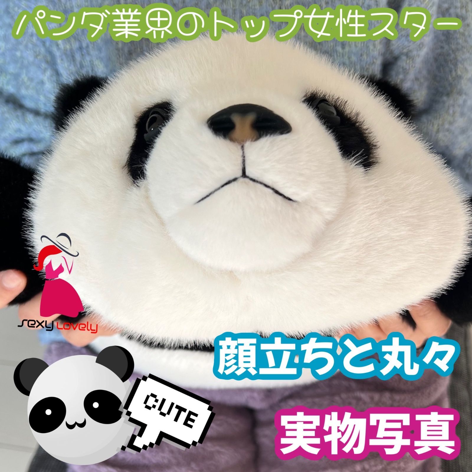 リアルでかわいい！成都パンダ基地生まれの人気ぬいぐるみが新