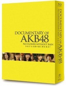 【中古】 DOCUMENTARY OF AKB48 NO FLOWER WITHOUT RAIN 少女たちは涙の後に何を見る? コンプリートBlu-ray-BOX【Blu-ray2枚+DVD2枚組】