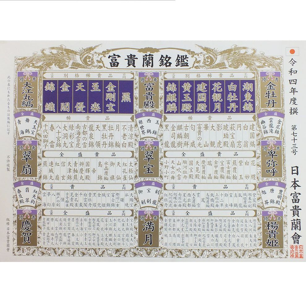 富貴蘭 風蘭 蘭 建国縞 ケンコクシマ 1本立 フウキラン 花 T197