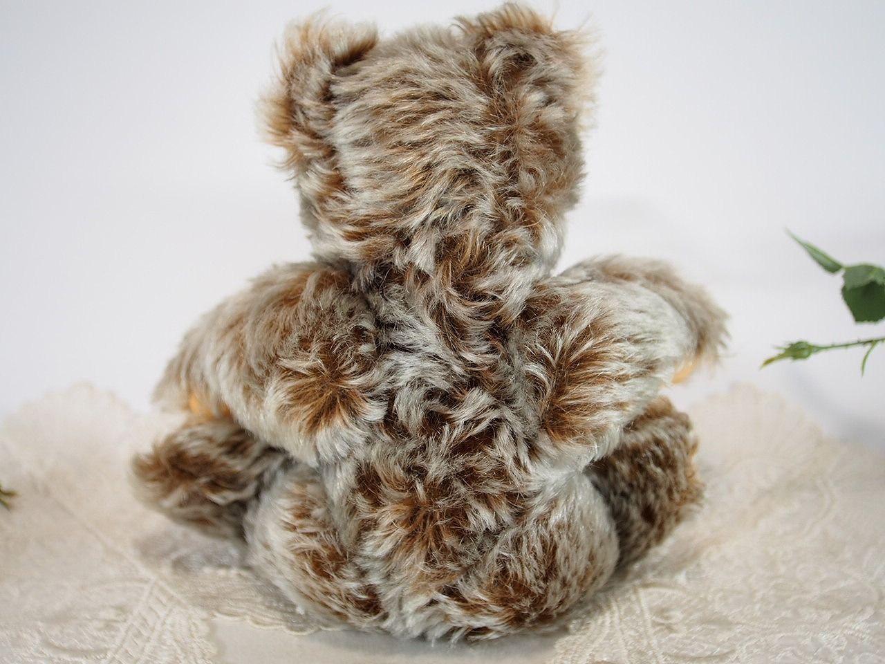 シュタイフ テディベア ゾッティ Zotty 2025年最新】シュタイフ Zotty