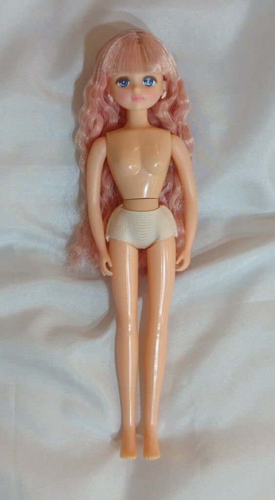 セレクションモデル