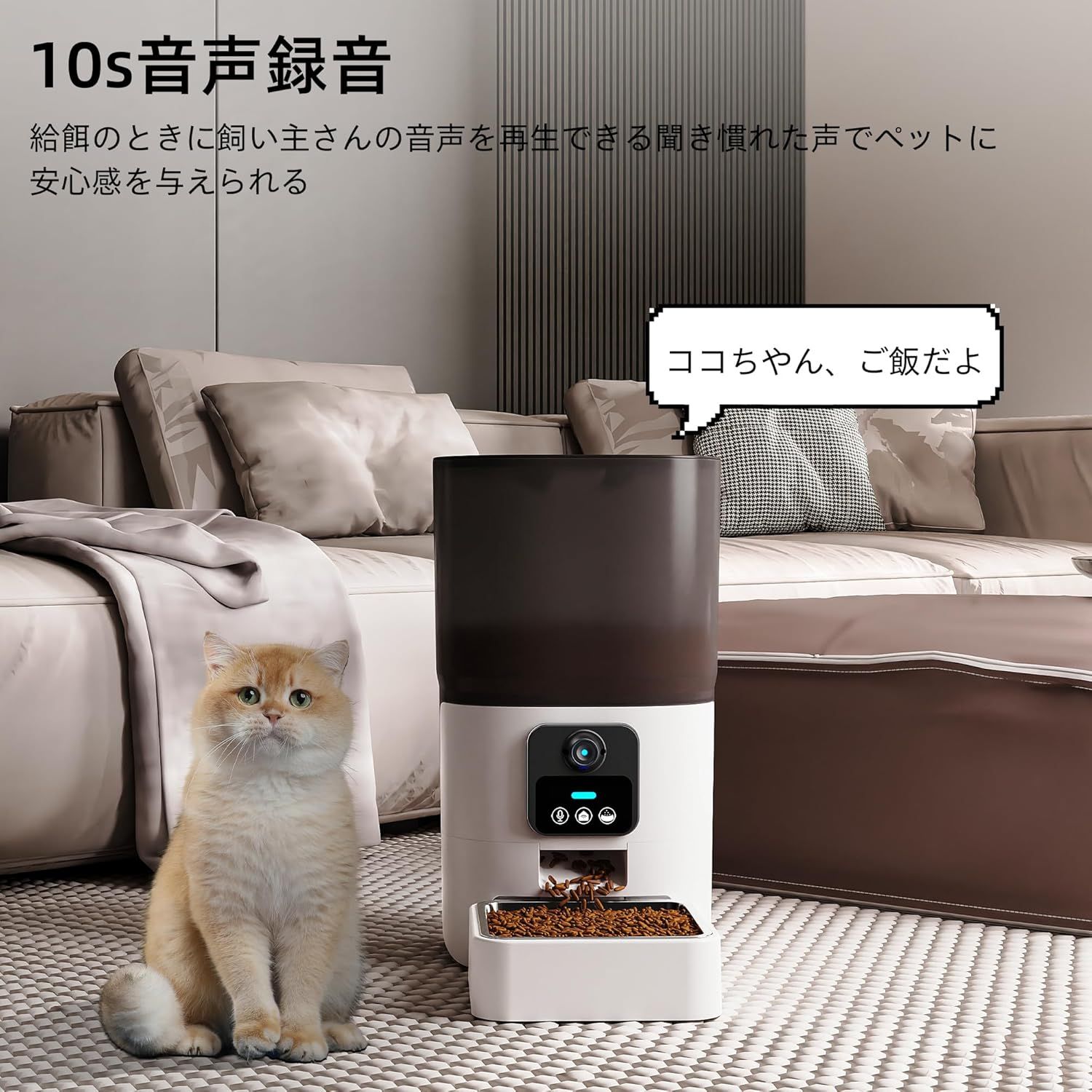 自動給餌器