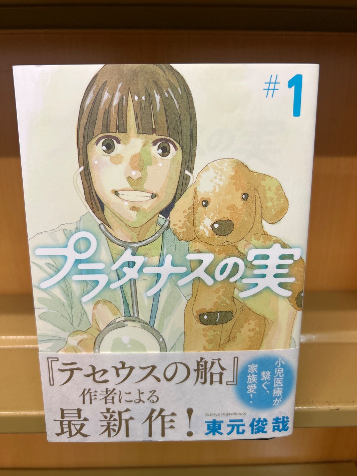 【完結】プラタナスの実【全10巻】／東元俊哉　※バラ売り不可 プラタナスの実 全巻（全10巻セット・完結）東元俊哉[9_2794