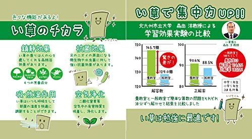 萩原 イ草 グリーン 約200×300cm 国産い草ラグ コンパクト収納