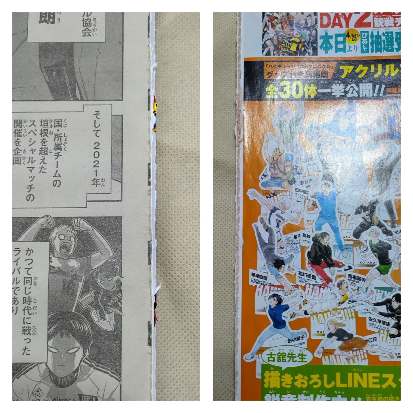 ハイキュー!!」の読み切り「特別番外編 祭り再び」より。 (c