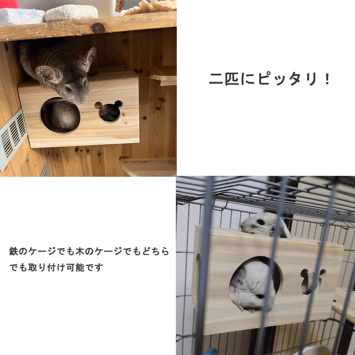 小動物用ケージ 愛華 星輝様専用｜小動物用ケージ 愛華 星輝 Amazon.