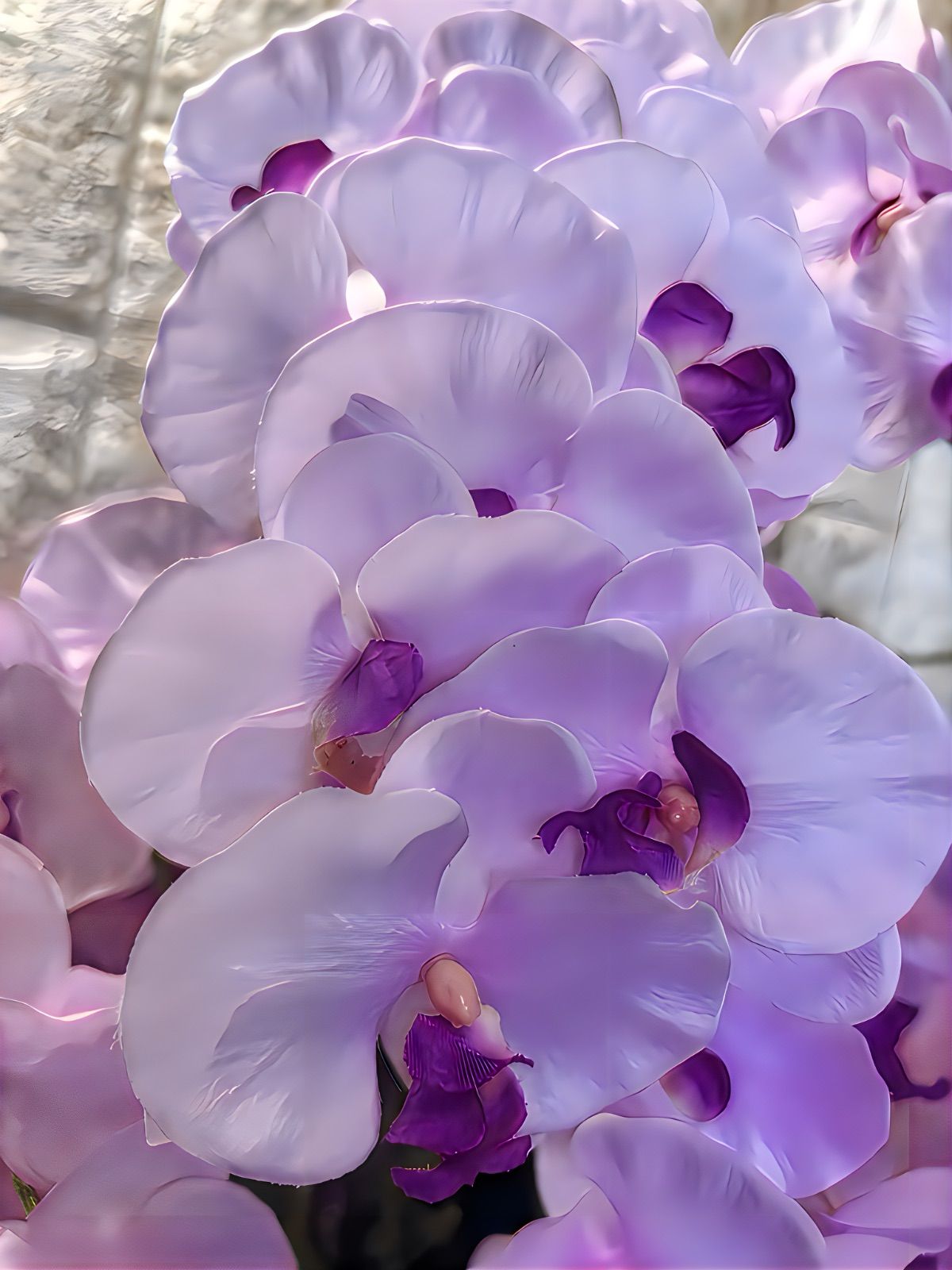 光触媒 人工観葉植物 ウォールグリーン フェイクグリーン 胡蝶蘭8550@@