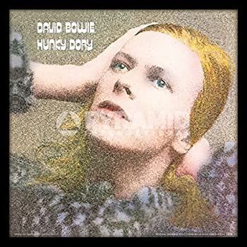【】DAVID BOWIE / HUNKY DORY デビッド ボウイ / ハンキー ドリー [並行輸入品]