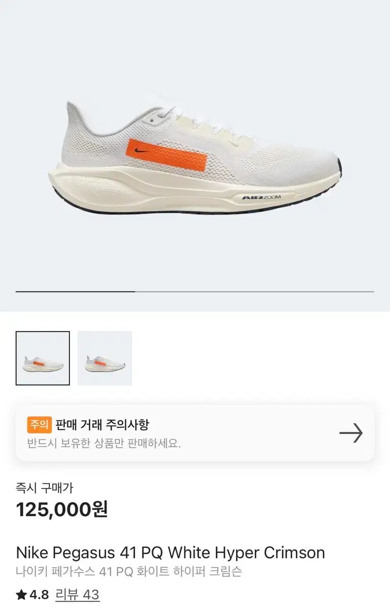 NIKE ナイキ ペガサス 41PQ ランニングシューズ 265