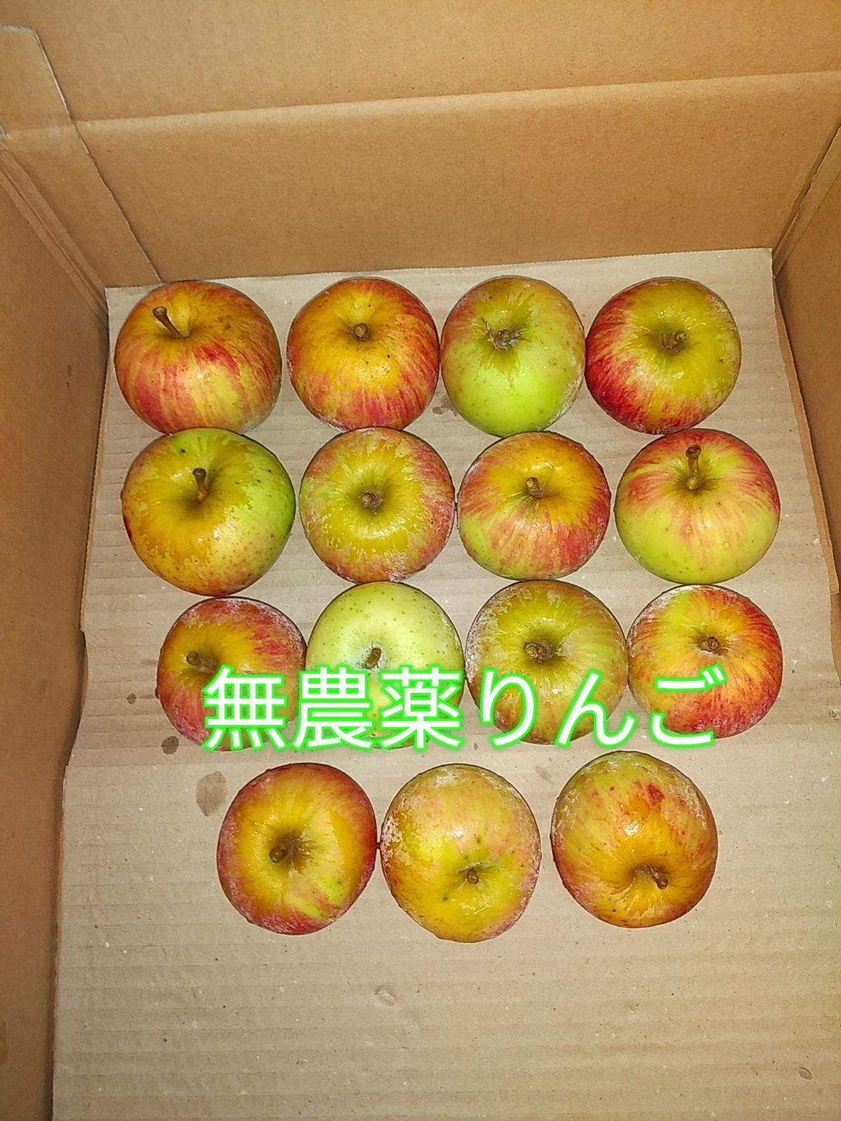 無農薬りんご　ミキライフ　約２．３キロ