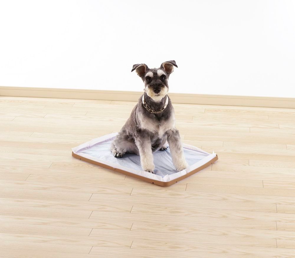 まとめ買い リッチェル Ｎおでかけシーツトレーワイド ダークブラウン ペット用品 ×3セット