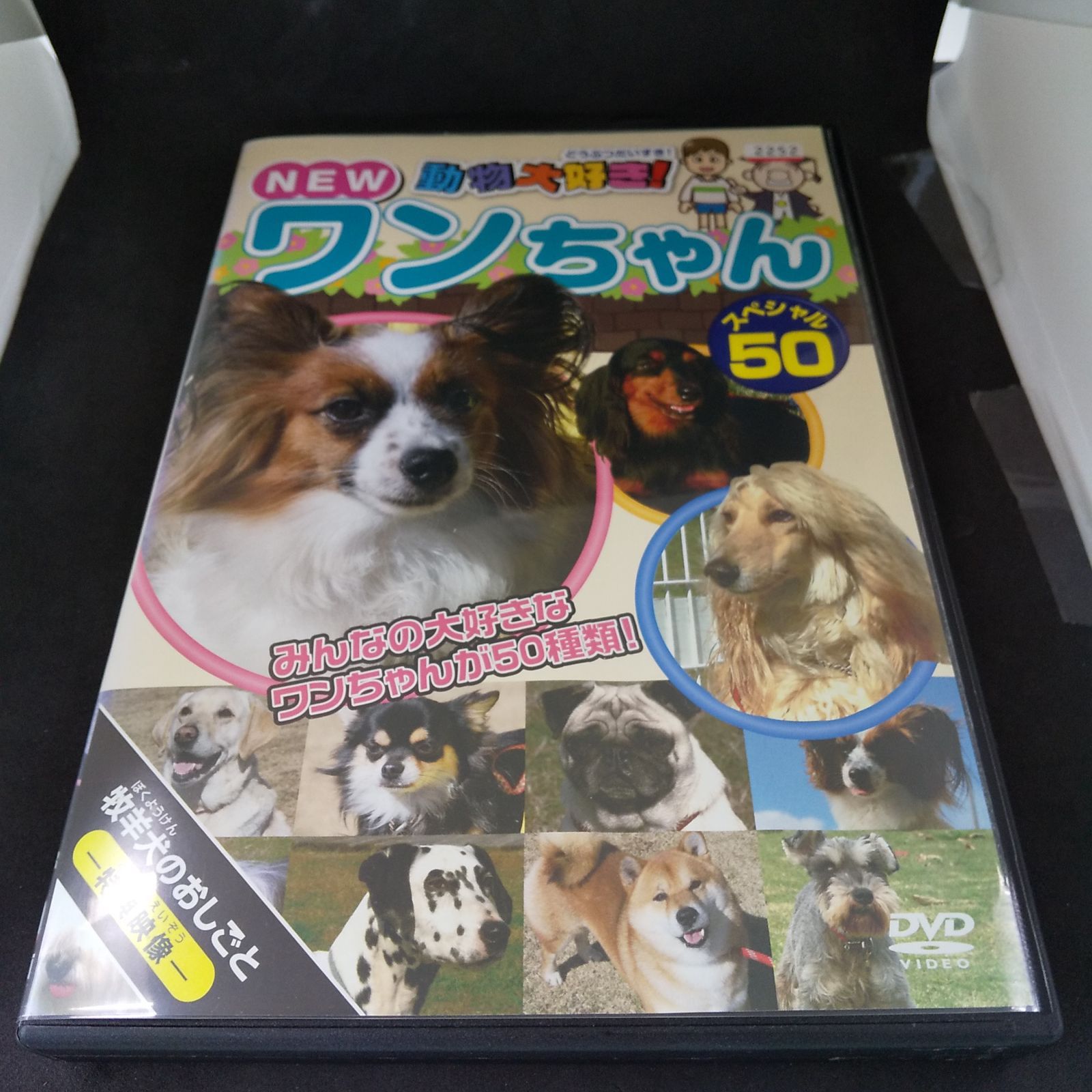 NEW 動物大好き！ワンちゃん スペシャル50 レンタル落ち 中古 DVD