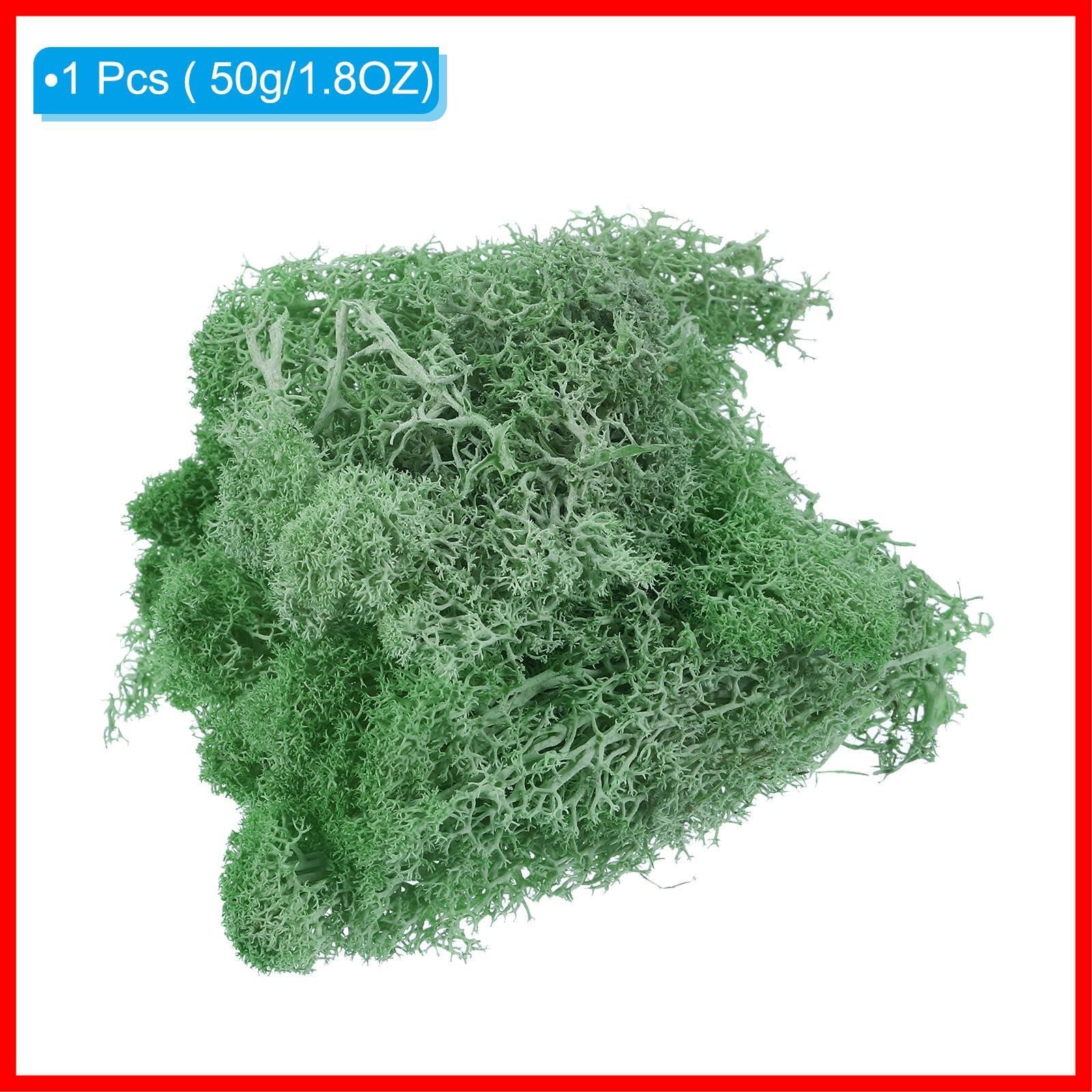 プリザーブドトナカイモス 人工苔地衣センターピース装飾