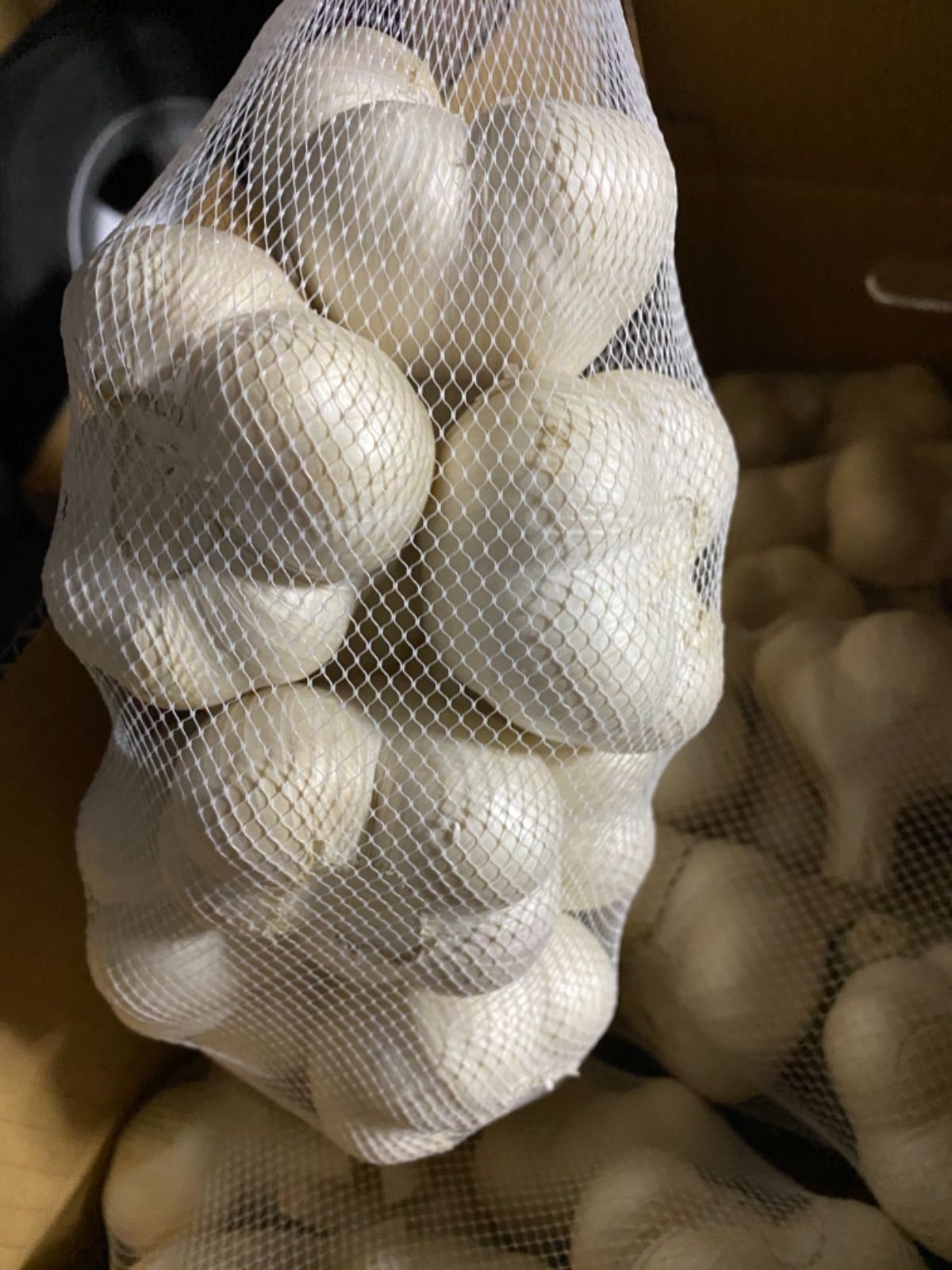 青森県にんにく3Kg 2L 黒にんにく
