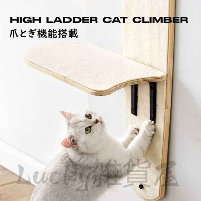 多頭飼い対応