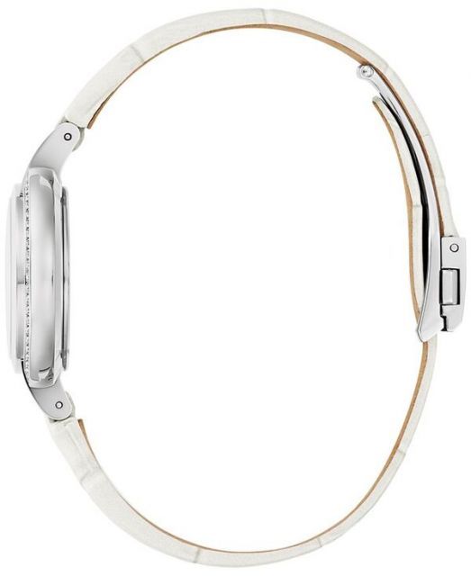 キジ剥製(西岡剥製工房) 工房案内 – 田中剥製 Tanaka Fish Taxidermy