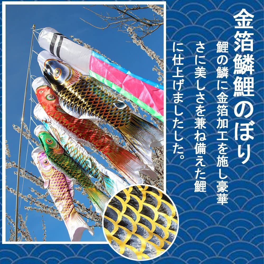 特選 鯉のぼり
