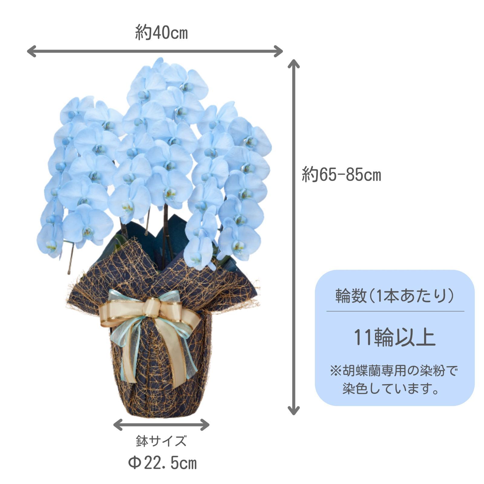ブルー