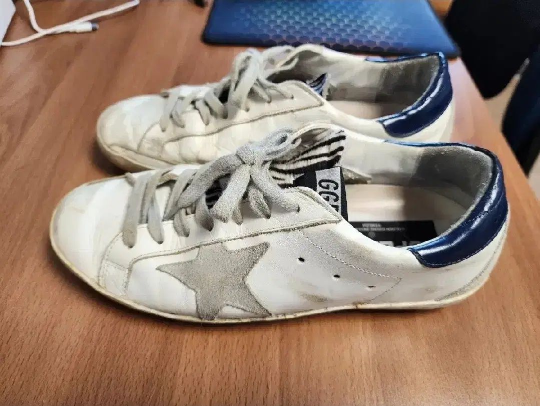 GOLDEN GOOSE(ゴールデングース) 前菜 41 （ 260 ） Golden 0 Goose