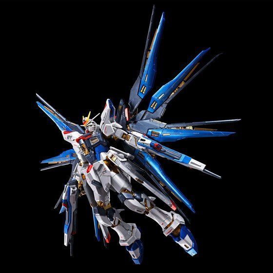 ＲＧ 1/144 ストライクフリーダムガンダム チタニウムフィニッシ プレミアムバンダイ ガンプラ 新品 機動戦士ガンダムSEED DESTINY