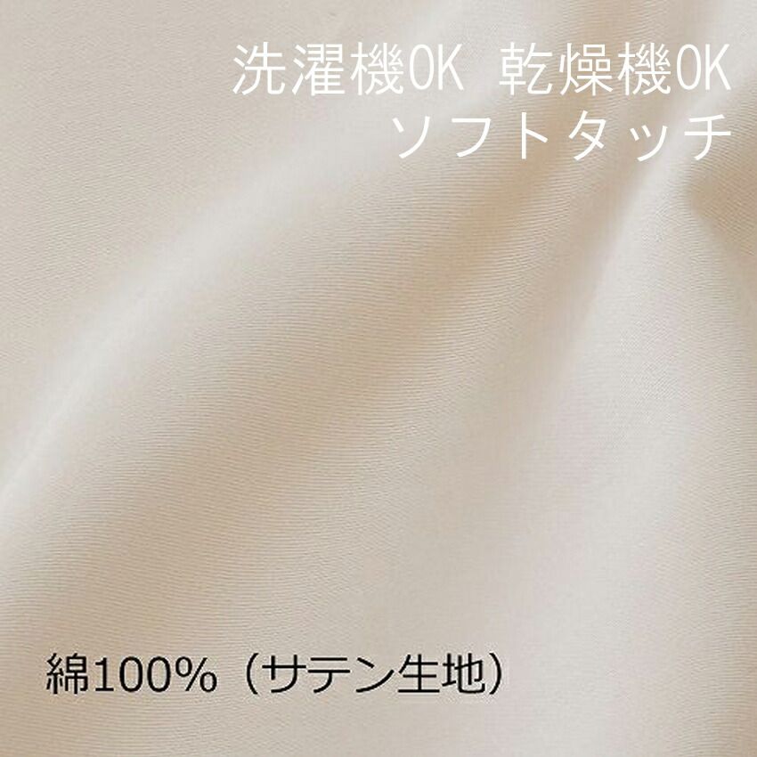5色展開 綿100