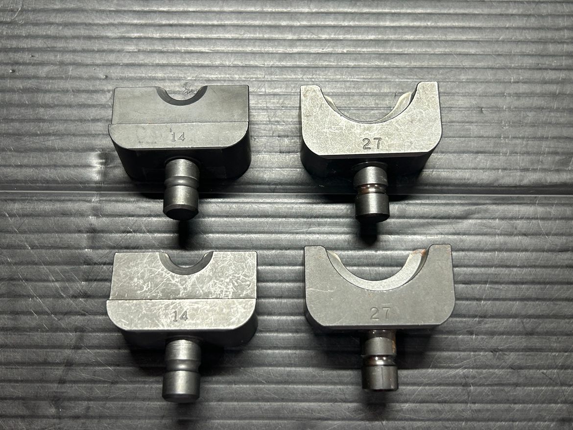 カクタス イズミ