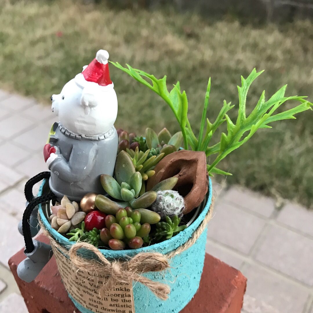 ♡そのまま飾れる♡リメ缶♬Xmas☆足ブラリくまちゃんの多肉植物