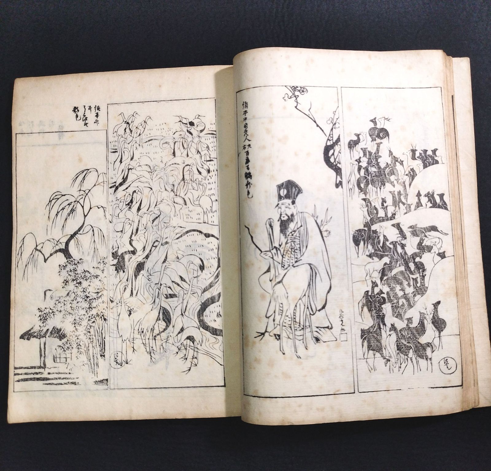 尾形光琳 絵入◇光琳百図◇上 琳派 画譜 手手本 絵本 図案 文様 草花