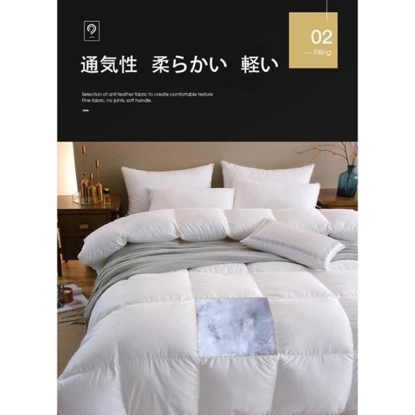 ホワイトダックダウン95 冬布団