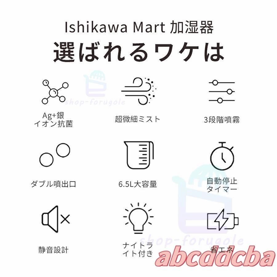 イオン除菌 高温スチーム