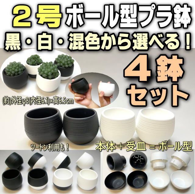 2号ボール型プラ鉢(陶器風の上品な質感！)で白と黒の組み合わせを