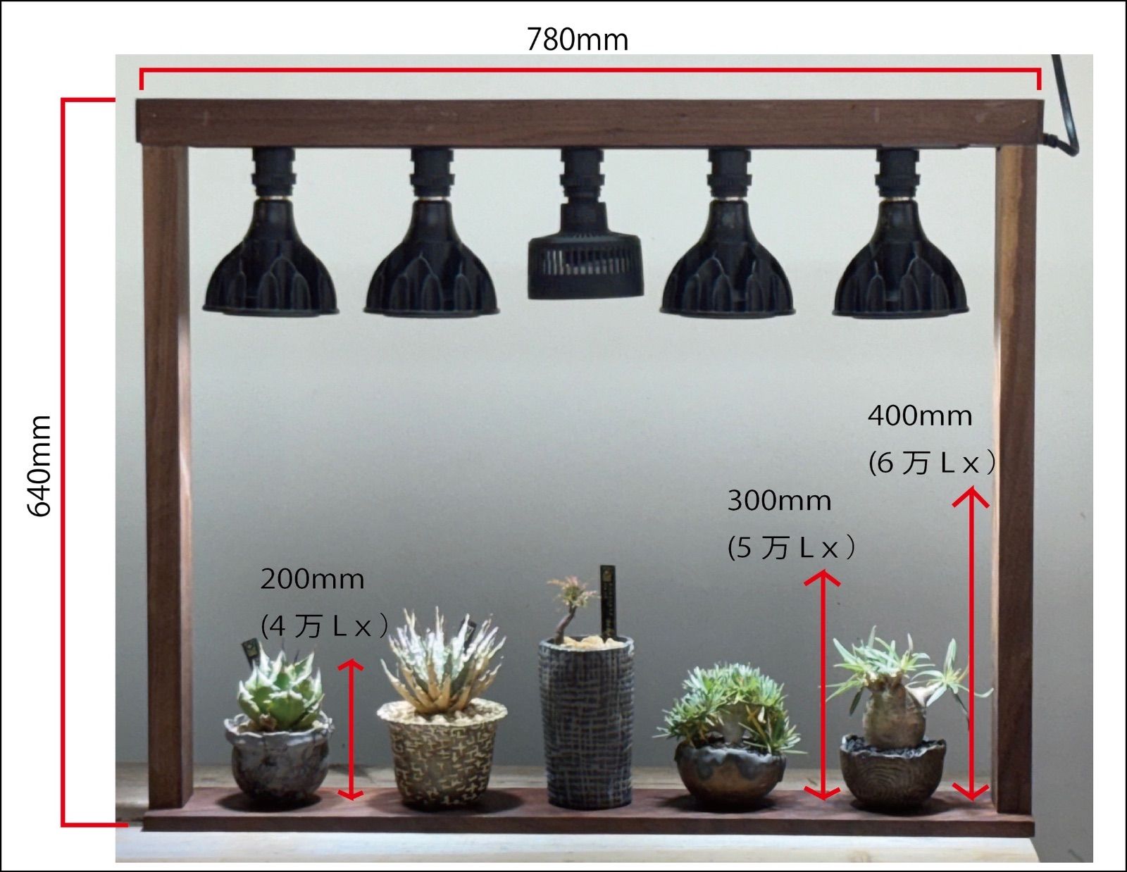 ウォルナット製 プランタースタンドフルセット