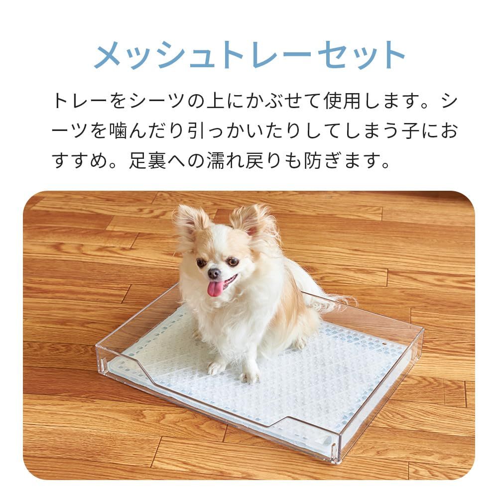 クリアレット2 S