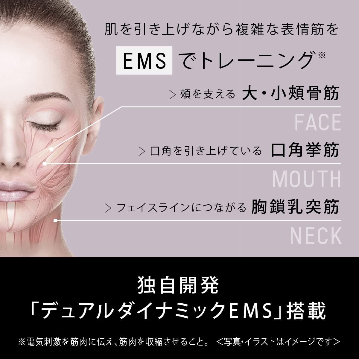 デュアルダイナミックEMS搭載