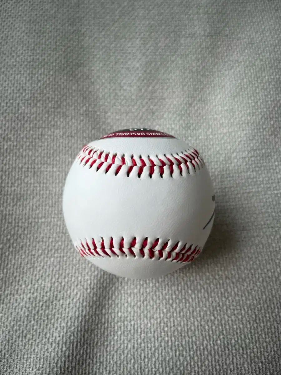 秋田ノーザンハピネッツ タナー・ライスナー 選手のぼり（直筆サイン