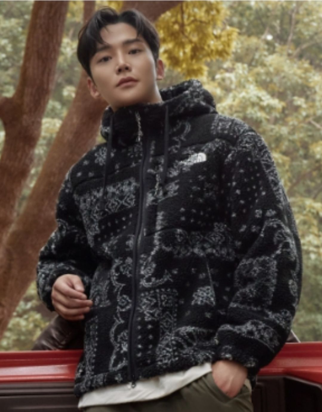 ザ・ノース・フェイス THE NORTH FACE ノースフェイス 海外限定 韓国