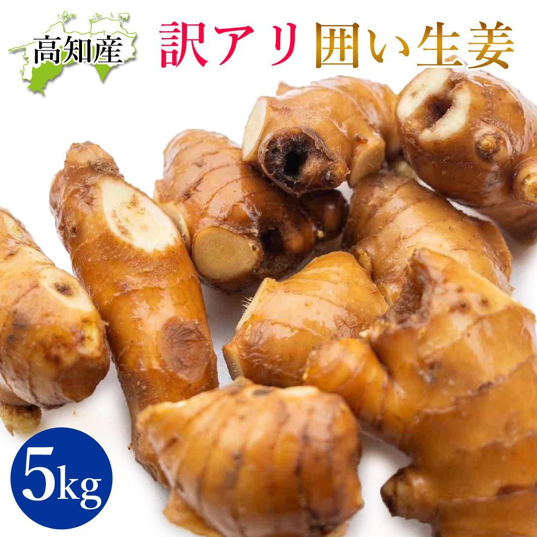 種生姜　生姜　5キロ以上 富士山麓産 0e74188574fd5440cf3307905856e4