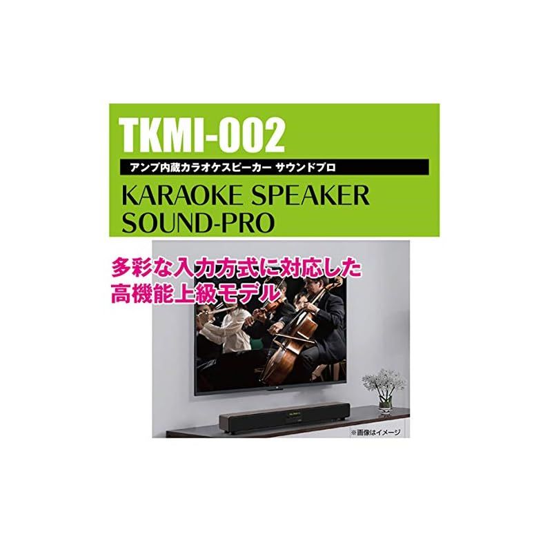 TO-PLAN SOUND-PRO MAX カラオケスピーカー dショッピング |アンプ内蔵