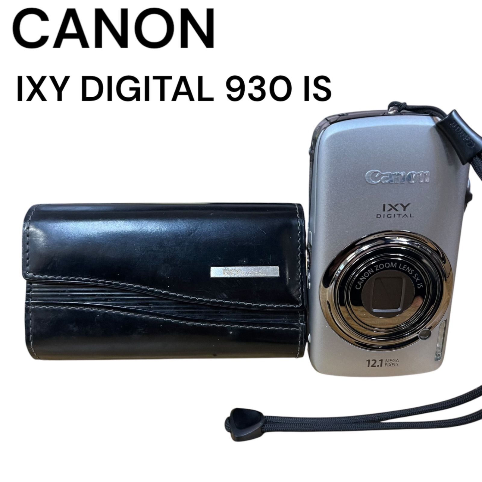 PP54 オペルクリカリア パキプス 11/16 入荷 Operculicarya pachypus