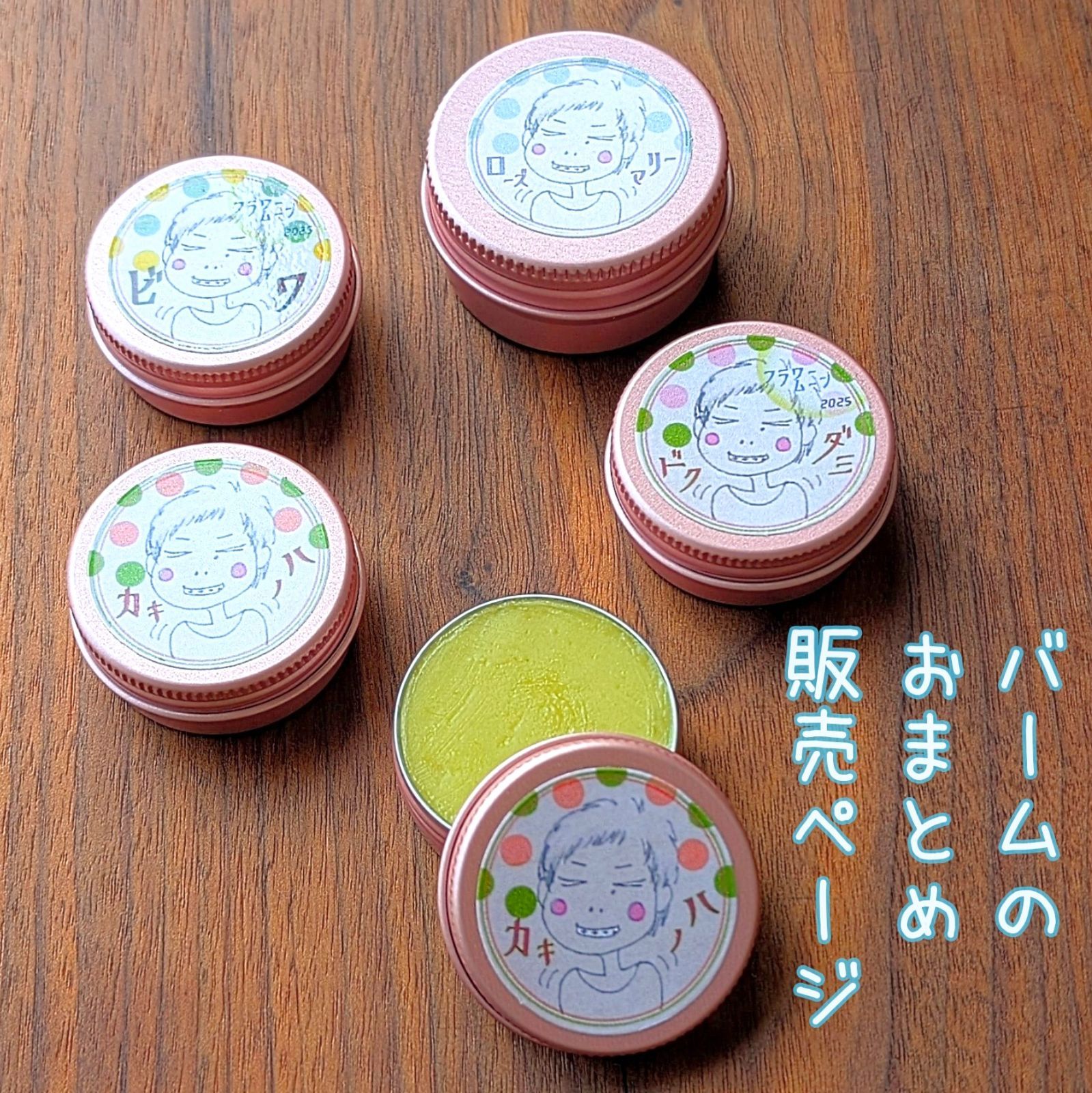 ビカクシダ 着生板 蛇籠 bacteria jenny ridleyi ビカクシダ Ridleyi