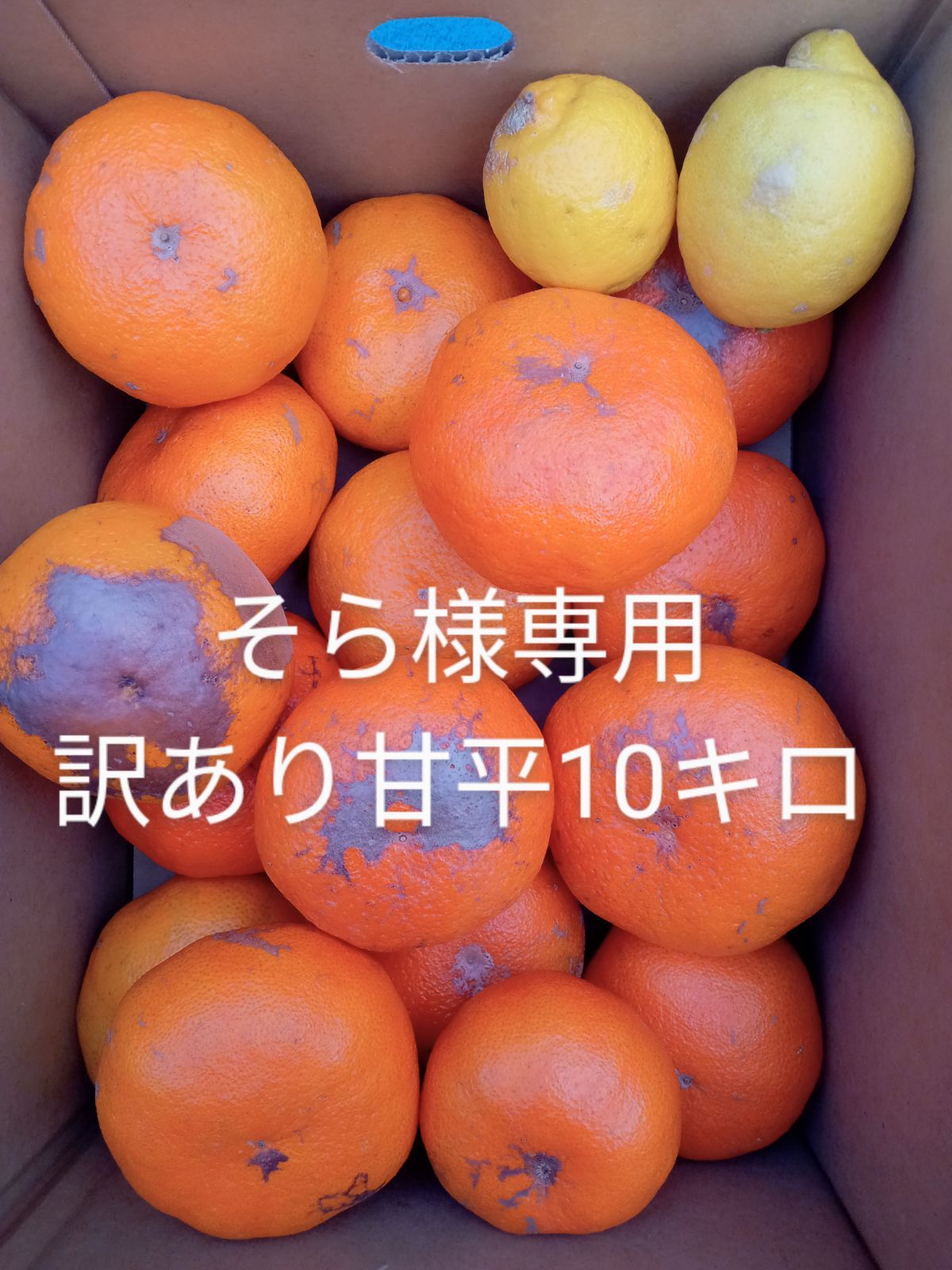 そら様専用 訳あり甘平10キロ - megu柑橘えひめ - メルカリ