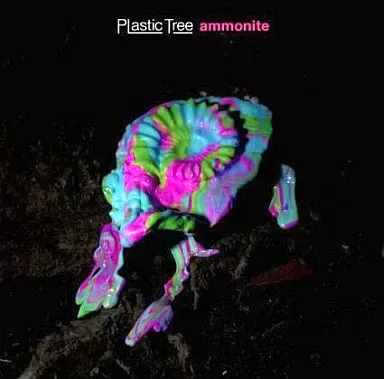 2025年最新】plastic tree アンモナイトの人気アイテム - メルカリ
