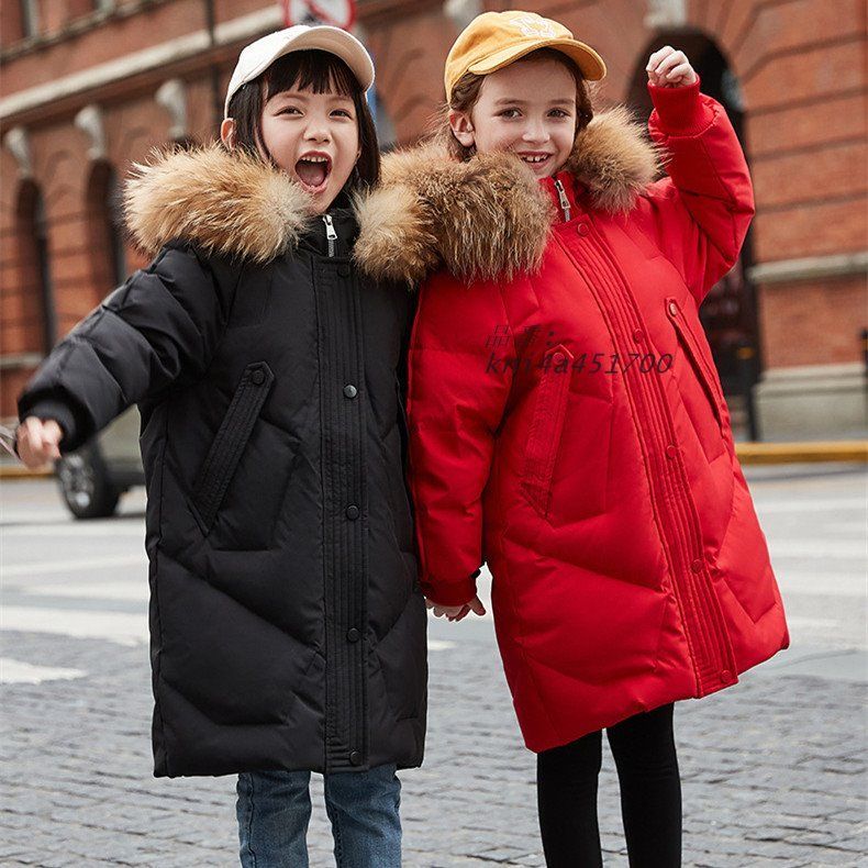 ラクーンファー