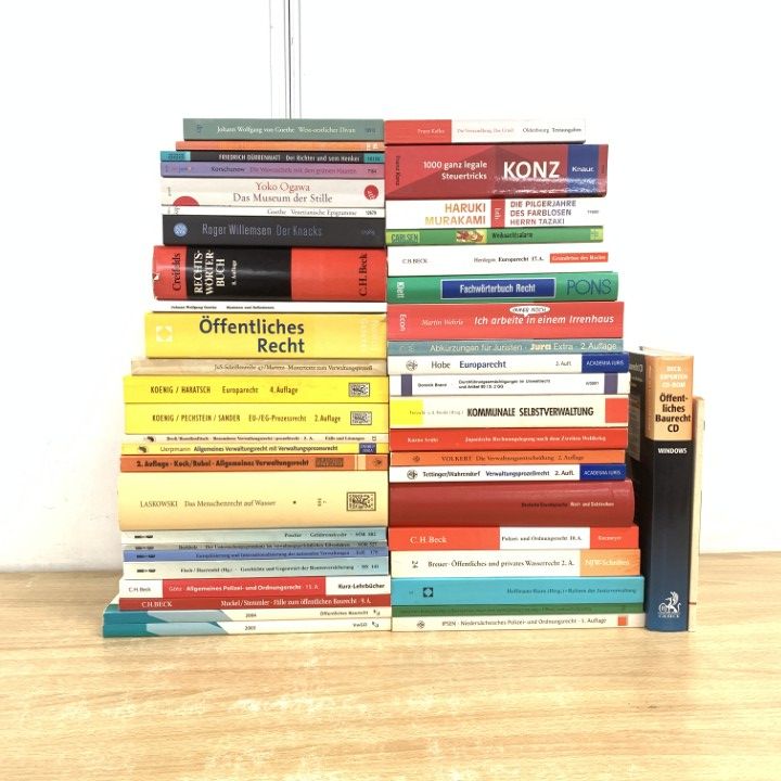■02)【同梱不可】ドイツ語表記の法律書など まとめ売り約40点大量セット/人権/行政/公営水道/環境法/ヨーロッパ/CD/手続き/裁判官/司法/B □02)【同梱不可】ドイツ語表記の法律書など まとめ売り約40点