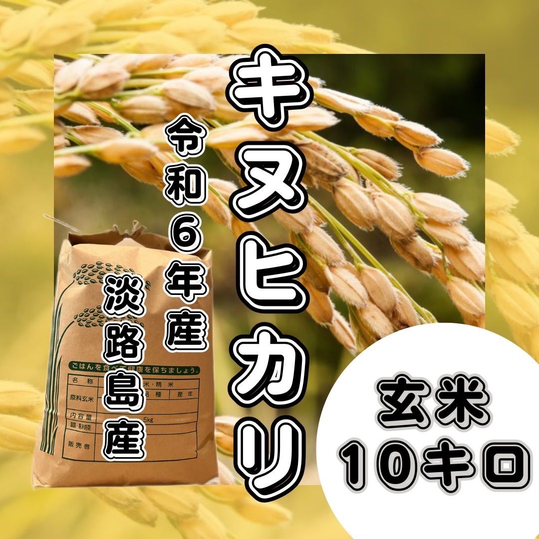 令和6年産キヌヒカリ玄米10kg